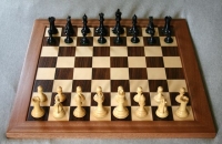 Počela Premijer šahovska liga BIH