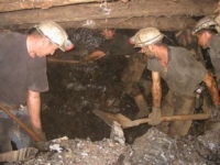 Rudnik prima 50 kopača