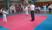 Ha Se Karate Kup 2014