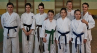 Karate seminar u Zenici