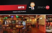 Zenica360 - Gatto
